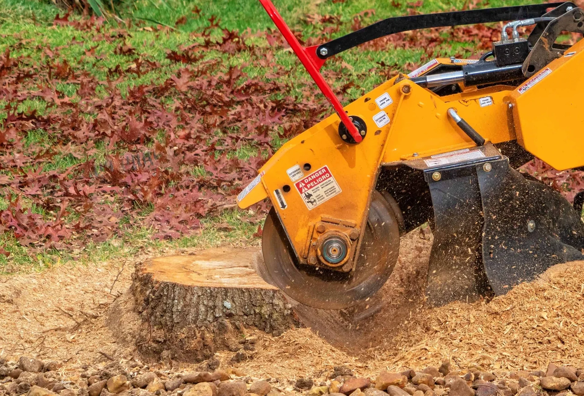 Stump Grinding & Removal in Huntsville, AL